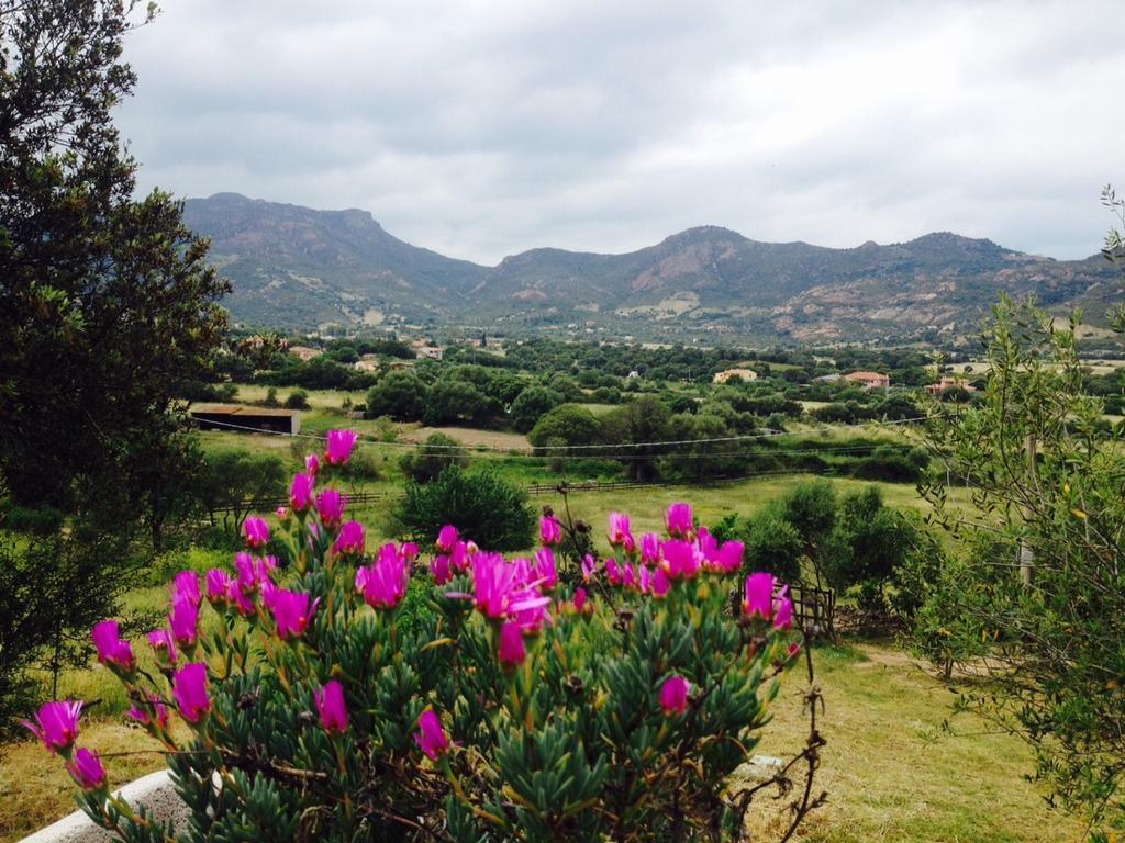 Agriturismo La Casa Delle Fate Loiri Porto San Paolo Exterior foto