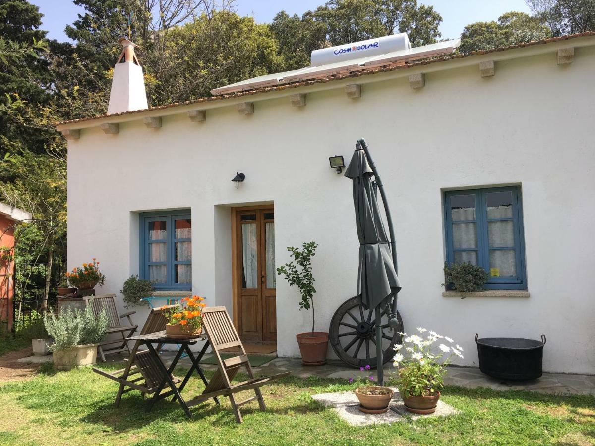 Agriturismo La Casa Delle Fate Loiri Porto San Paolo Exterior foto